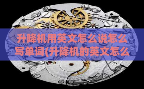 升降机用英文怎么说怎么写单词(升降机的英文怎么说)