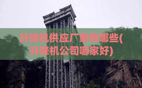 升降机供应厂家有哪些(升降机公司哪家好)