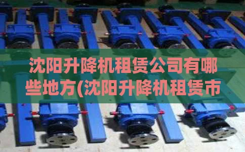 沈阳升降机租赁公司有哪些地方(沈阳升降机租赁市场)