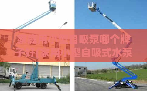 家庭用小型自吸泵哪个牌子好(家用小型自吸式水泵)