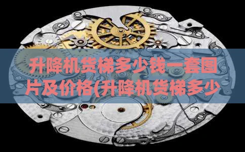 升降机货梯多少钱一套图片及价格(升降机货梯多少钱一套图片及价格表)