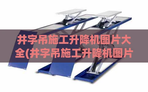 井字吊施工升降机图片大全(井字吊施工升降机图片大全及价格)