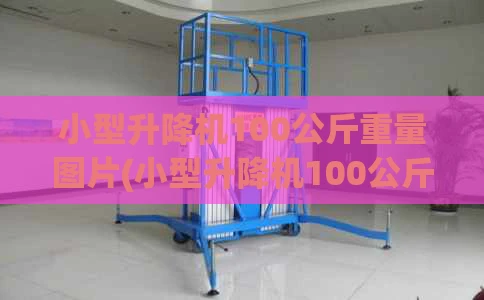 小型升降机100公斤重量图片(小型升降机100公斤重量图片大全)