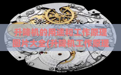 升降机的用途和工作原理图片大全(升降机工作原理图解)