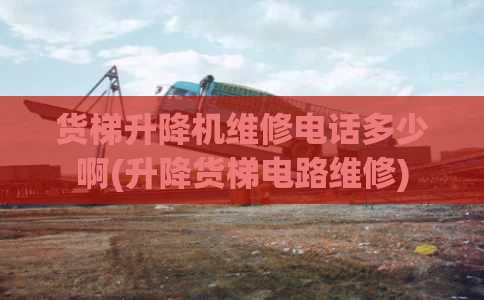 货梯升降机维修电话多少啊(升降货梯电路维修)