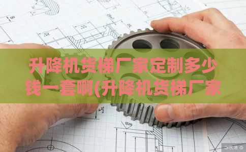 升降机货梯厂家定制多少钱一套啊(升降机货梯厂家定制多少钱一套啊视频)