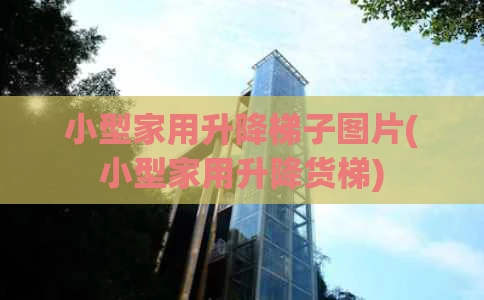 小型家用升降梯子图片(小型家用升降货梯)