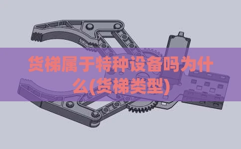 货梯属于特种设备吗为什么(货梯类型)