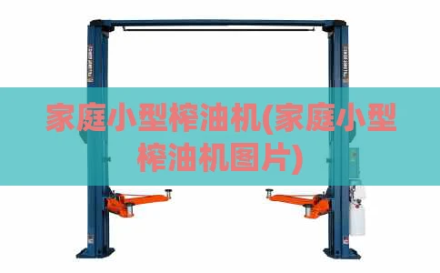 家庭小型榨油机(家庭小型榨油机图片)