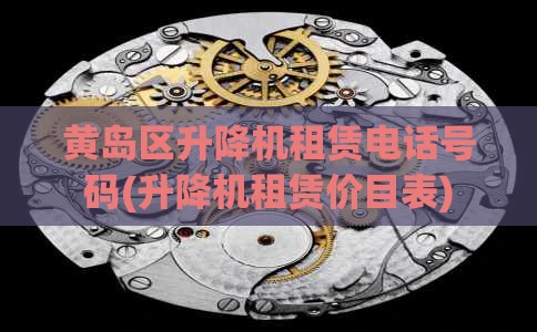 黄岛区升降机租赁电话号码(升降机租赁价目表)