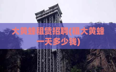 大黄蜂租赁招聘(租大黄蜂一天多少钱)