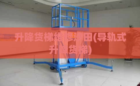 升降货梯维修沙田(导轨式升降货梯)