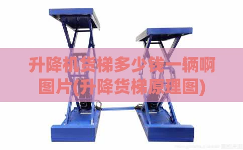 升降机货梯多少钱一辆啊图片(升降货梯原理图)