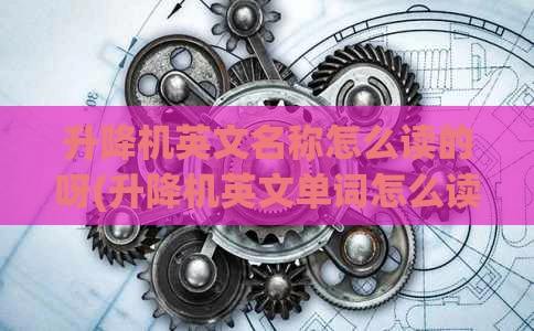 升降机英文名称怎么读的呀(升降机英文单词怎么读)