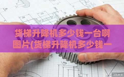 货梯升降机多少钱一台啊图片(货梯升降机多少钱一台啊图片视频)
