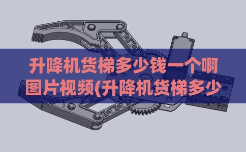 升降机货梯多少钱一个啊图片视频(升降机货梯多少钱一个啊图片视频大全)