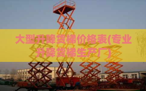 大型升降货梯价格表(专业升降货梯生产厂)