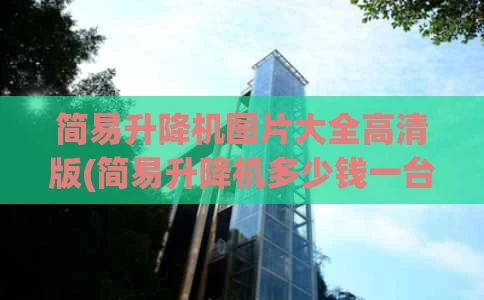 简易升降机图片大全高清版(简易升降机多少钱一台)