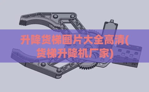 升降货梯图片大全高清(货梯升降机厂家)