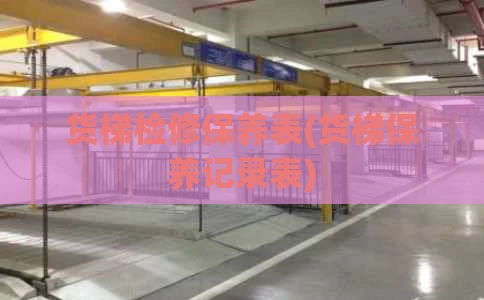 货梯检修保养表(货梯保养记录表)