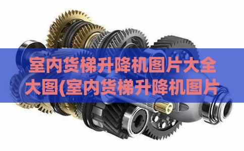 室内货梯升降机图片大全大图(室内货梯升降机图片大全大图高清)