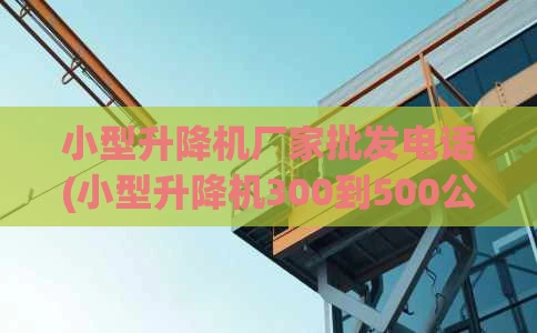 小型升降机厂家批发电话(小型升降机300到500公斤价格)