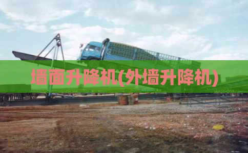 墙面升降机(外墙升降机)