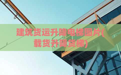 建筑货运升降电梯图片(载货升降货梯)