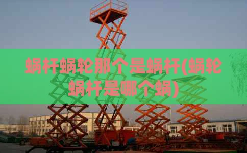 蜗杆蜗轮那个是蜗杆(蜗轮蜗杆是哪个蜗)