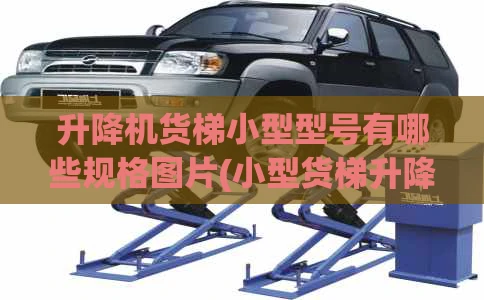 升降机货梯小型型号有哪些规格图片(小型货梯升降机尺寸要求)