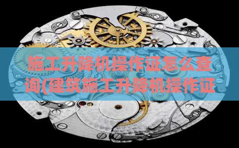 施工升降机操作证怎么查询(建筑施工升降机操作证查询)